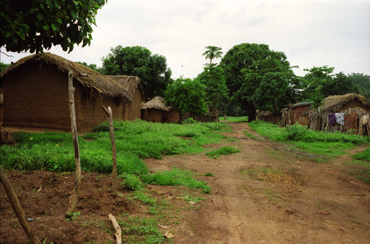 cote Ivoire maisons.jpg